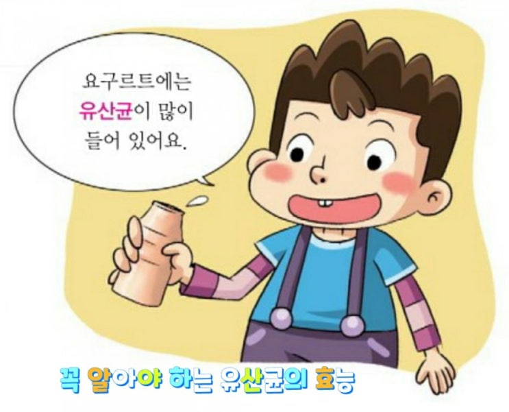꼭 알아야 하는 유산균의 효능 꼭 알아야 하는 유산균의 효능
