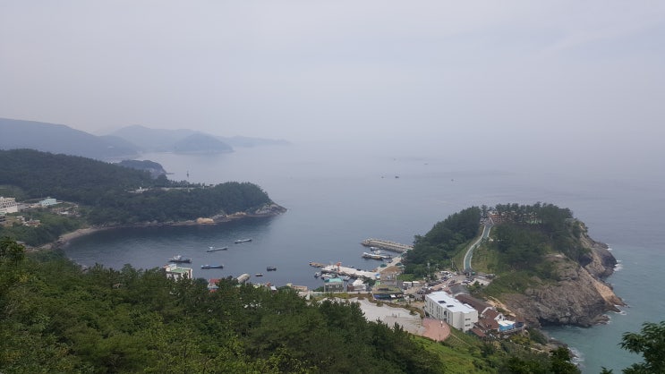  [2020. 6] 여수여행 둘째날 [원앙식당/게장백반/향일암/돌산공원/여수해상케이블카/자산공원/오동도/선어회/무번지/여수예술랜드/좌수영바게트버거/거문도쑥아이스크림/이순신수제버거]