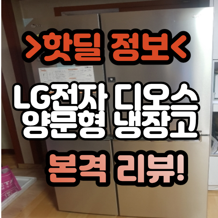 S831SS30 LG전자 디오스 양문형 냉장고 싸게 구매해봐요~ S831SS30 LG전자 디오스 양문형 냉장고 싸게 구매해봐요~