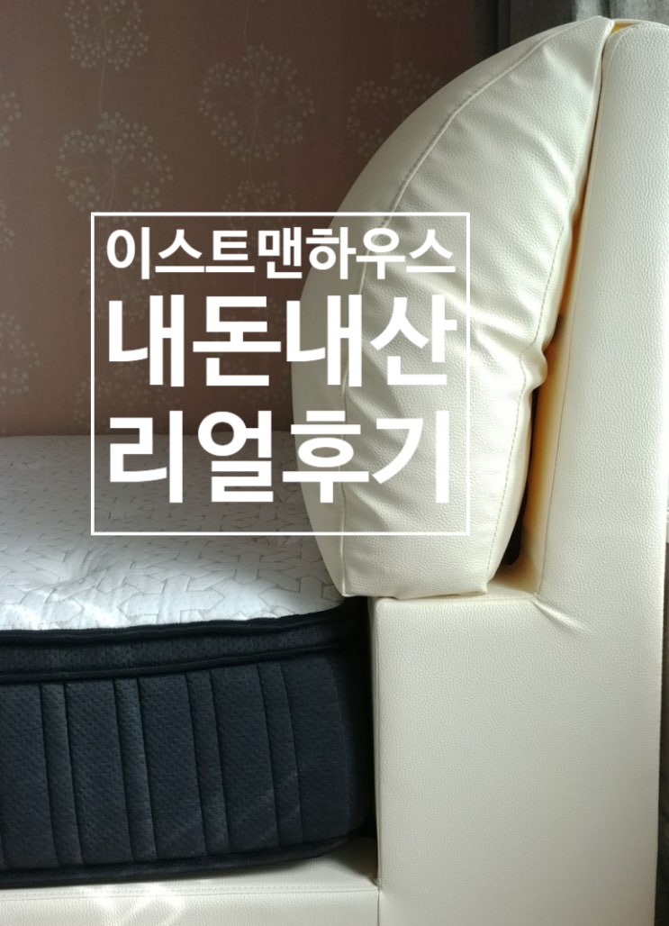  나비드를 버리고 선택한 이스트맨하우스 (내돈내산)