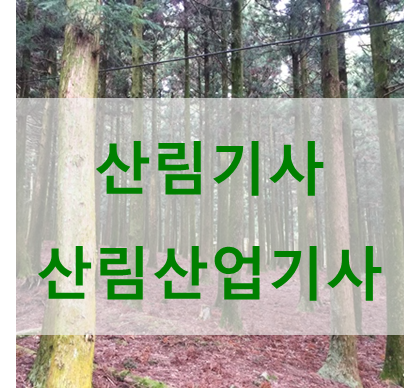  산림기사 자격증 정보 확인하고 도전하세요