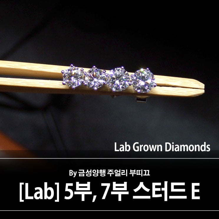 [Lab] 랩그로운 다이아몬드 5부, 7부 스터드귀걸이 현황