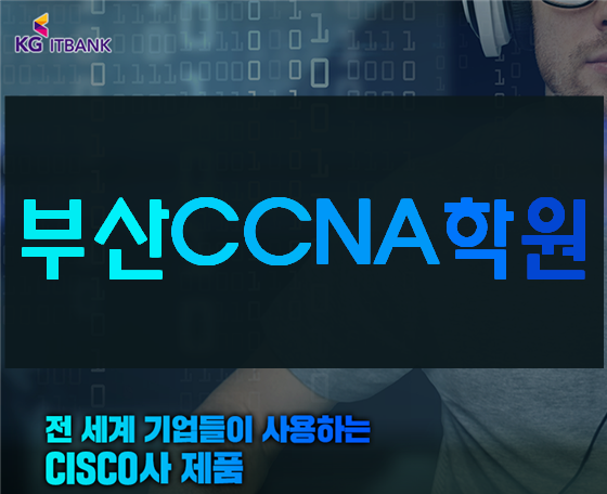  부산CCNA학원 네트워크기초부터 자격증까지!