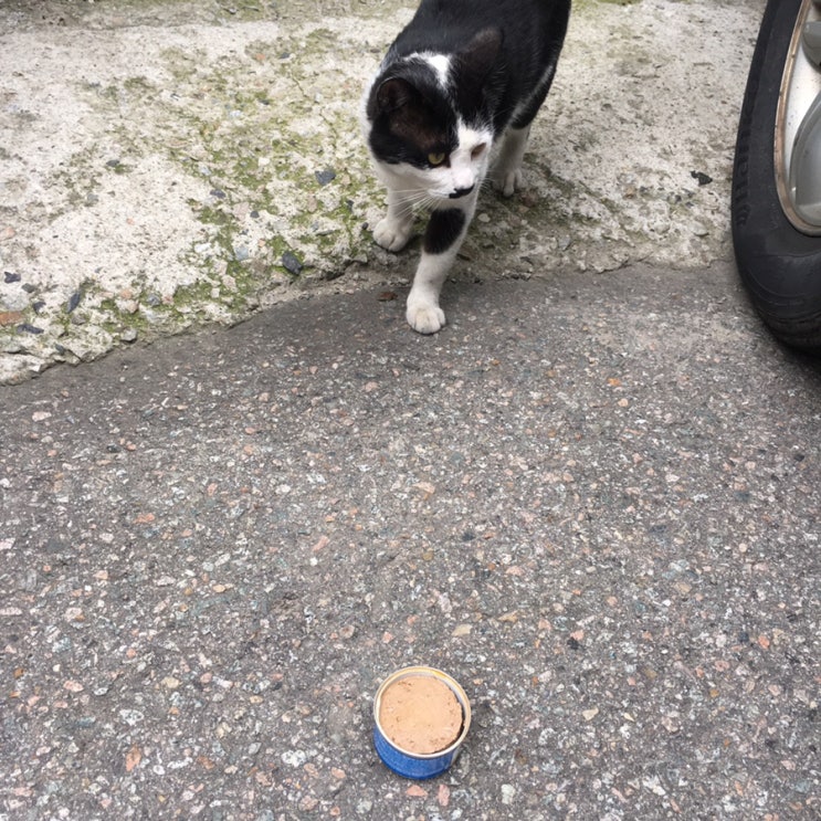  20.07.13