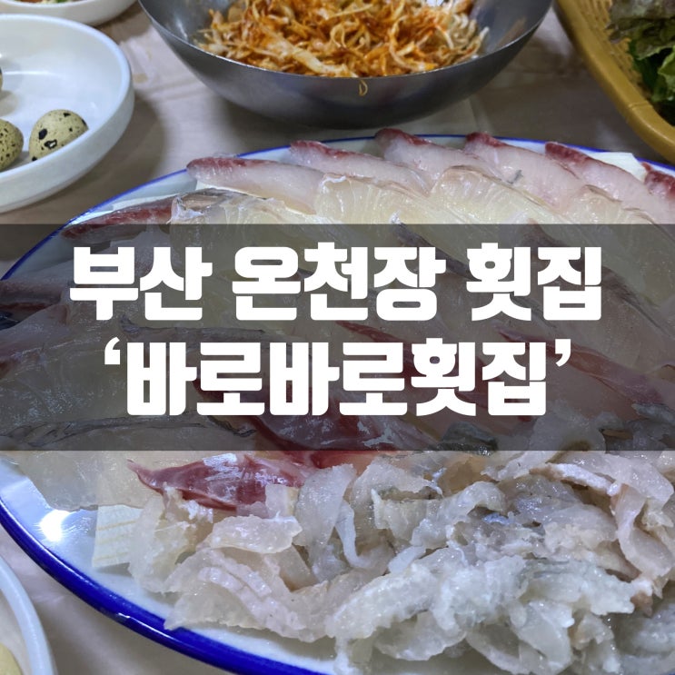  온천장 맛집 바로바로횟집, 가성비 갑인듯!!!