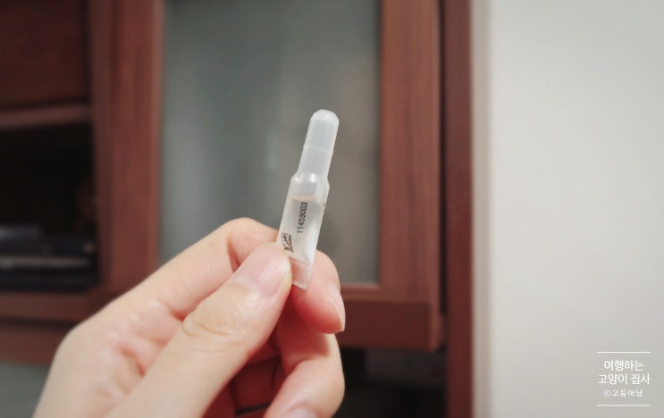  고양이 심장사상충약 애드보킷,레볼루션,브로드라인 차이 장단점 / 부작용