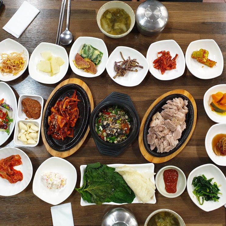  고령 맛집 "대가야농원" 우렁쌈밥 / 대구근교 애견수영장 "개나라노란꽃그늘아래"