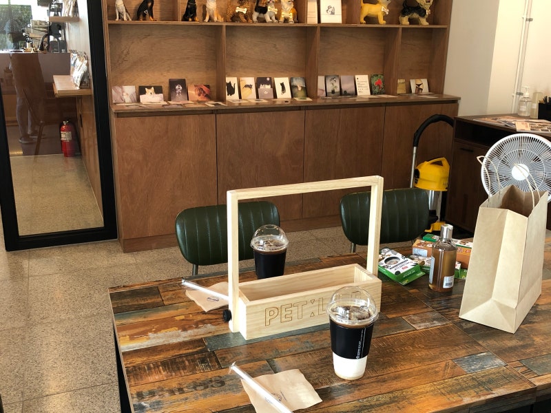 사진 6
