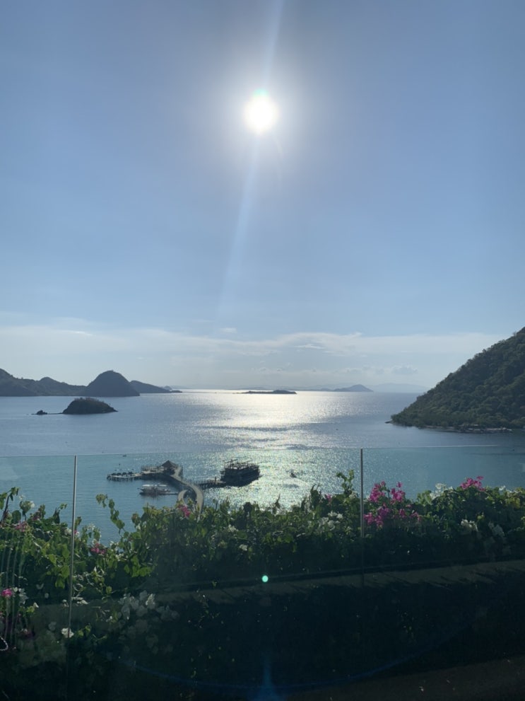  라부안 바조 (La Buan Bajo), 인도네시아 2019.12.19-2019.12.22 (5)