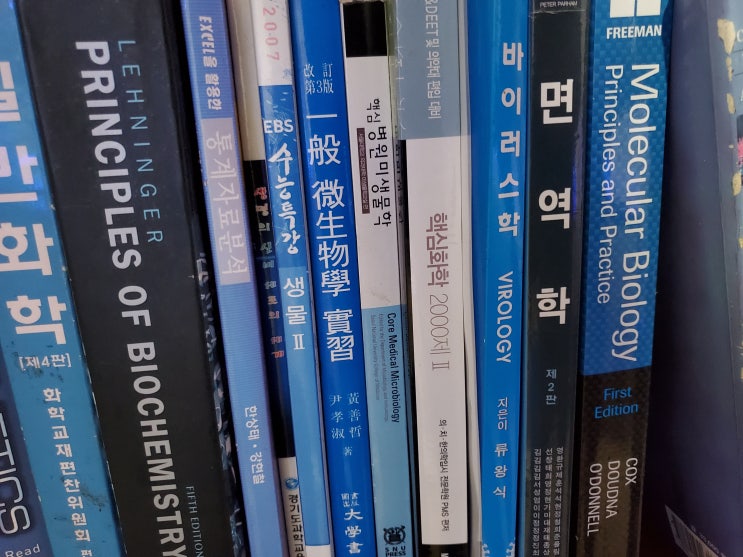  5개국어 해서 새롭게 얻게 된 것 들