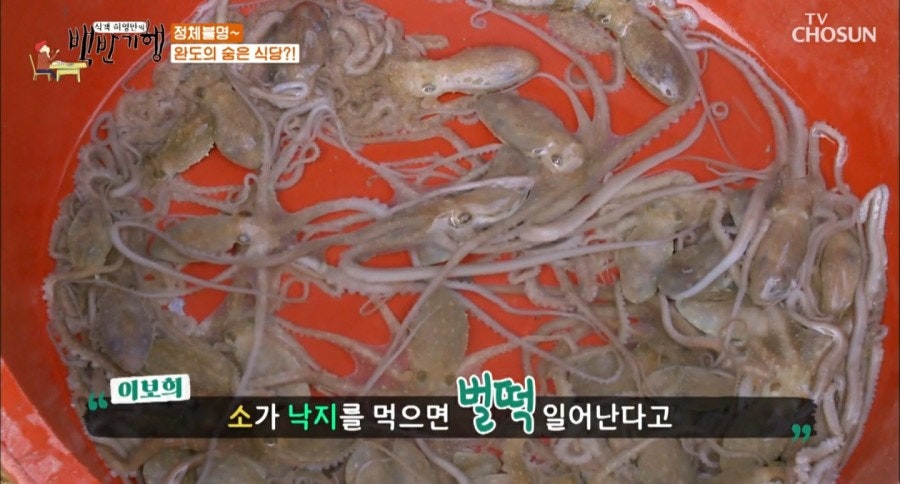 완도어부의집 사진 5