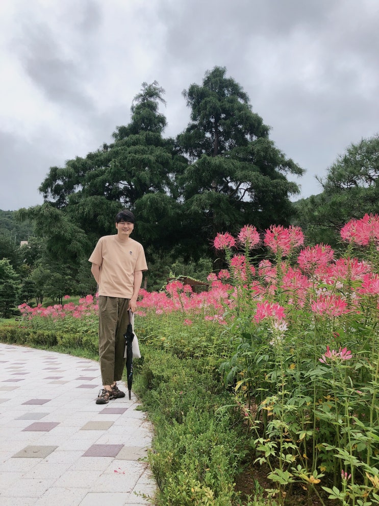  청주 힐링 숲, 미동산수목원의 초록빛 여름날