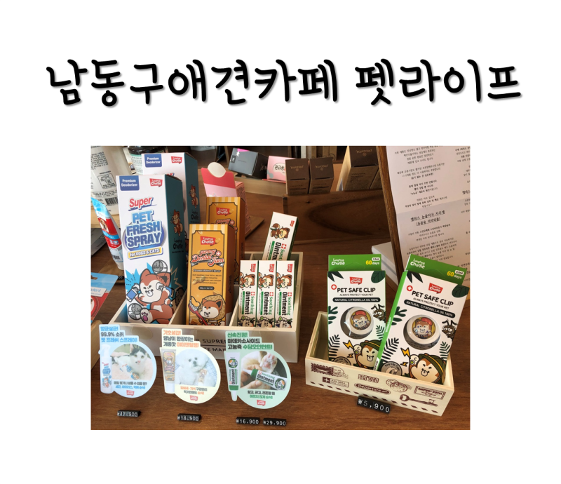 사진 5