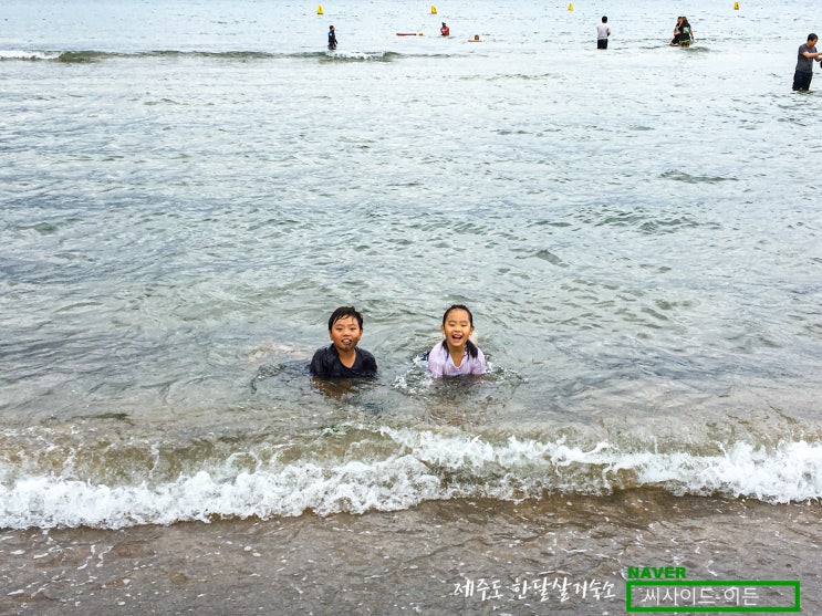  제주시내 최고의 해수욕장 "이호테우해수욕장" [제주도 한달살기 숙소 씨사이드 이든 추천]