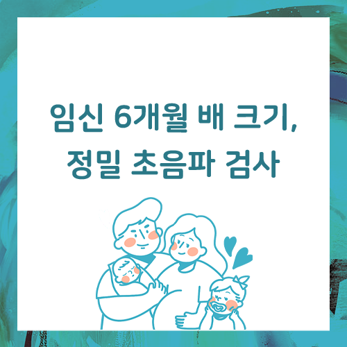  임신 6개월 배 크기, 정밀 초음파와 태아 심장 초음파도 검사해요.