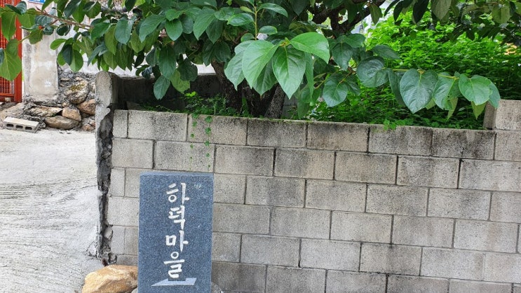  [경상남도 하동] 악양 하덕마을의 얼마 없는 식당, 타박네! 국수 맛집에서 나른한 오후를 보내다. (팥칼국수, 들깨국수, 비빔국수)