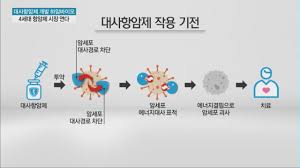  항암제종류별 작용기전 부작용 화학요법 2편 : 항생제 알칼로이드 항암치료부작용
