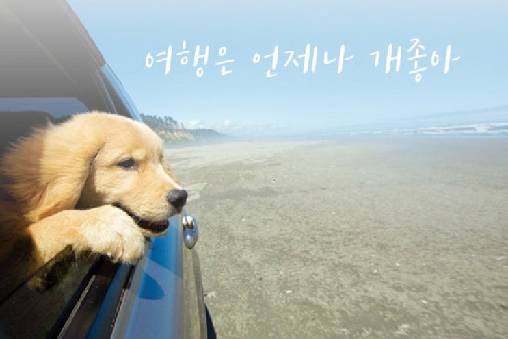  삼목항.신도.장봉도.을왕리.선녀바위.무의도.실미도.하나개.동막.강화도.왕산.영흥도.선재도.십리포.대부도.방아머리.해수욕장.해루질.갯벌체험.자전거.경조사.버스.대형택시.스타렉스콜밴
