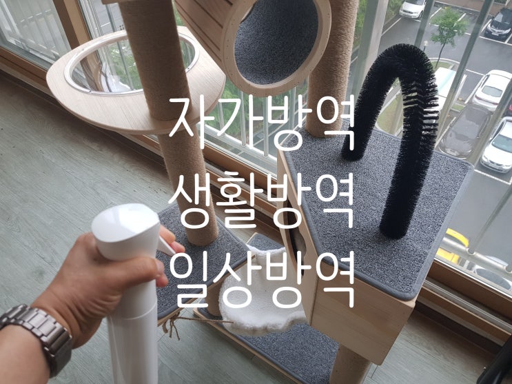  고양이 집사의 생활방역, 일상방역, 자가방역