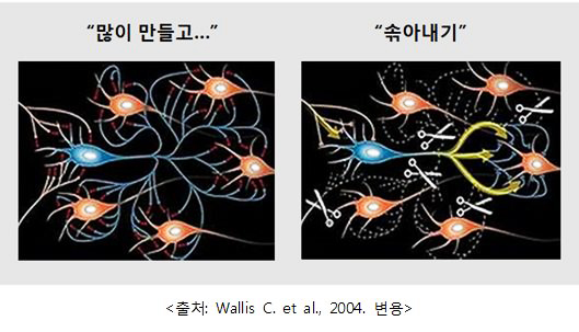  우리 아이의 뇌 속에 레저타운이 지어지고 있어요!