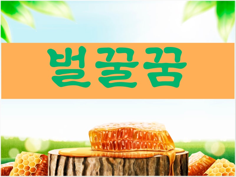 달콤한 벌꿀꿈