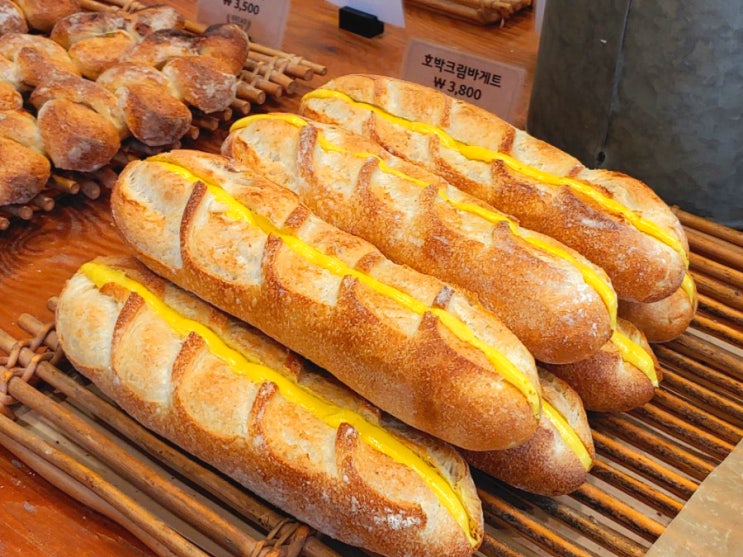  태릉입구역 공릉동 브레드스팟, 발효종 빵 맛집