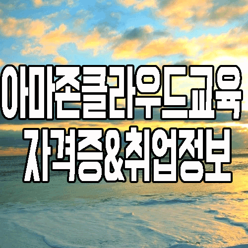  아마존 클라우드 교육 : 자격증과 취업을 한 번에 잡는 과정