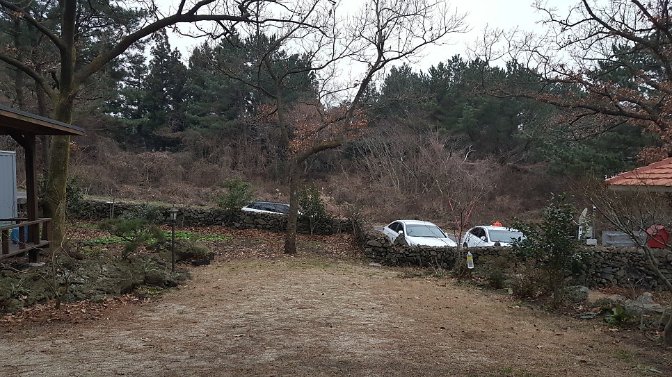 Wondonghilringhauseu photo 4
