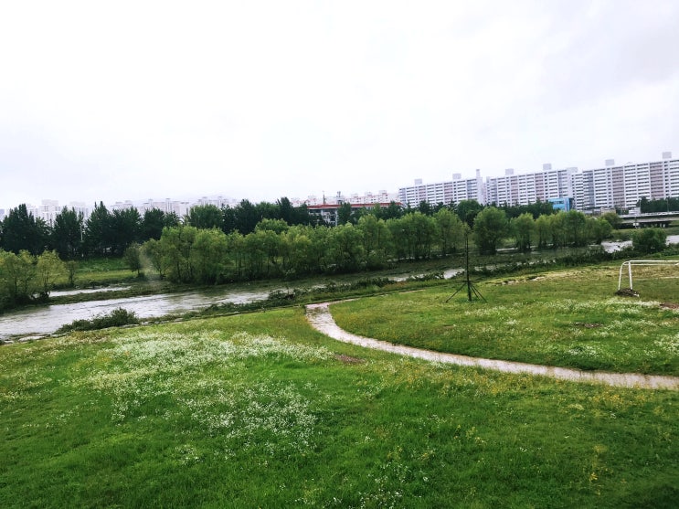 호우로 넘쳐 흐른 유등천변 호우로 넘쳐 흐른 유등천변