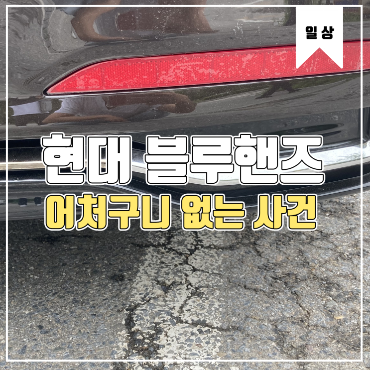  [일상] 현대 블루핸즈 너무한다 정말