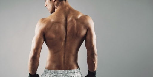 남자 등근육 등운동 루틴_태평양 같은 등을 만들어보자 : 네이버 블로그 남자 등근육 등운동 루틴_태평양 같은 등을 만들어보자 : 네이버 블로그