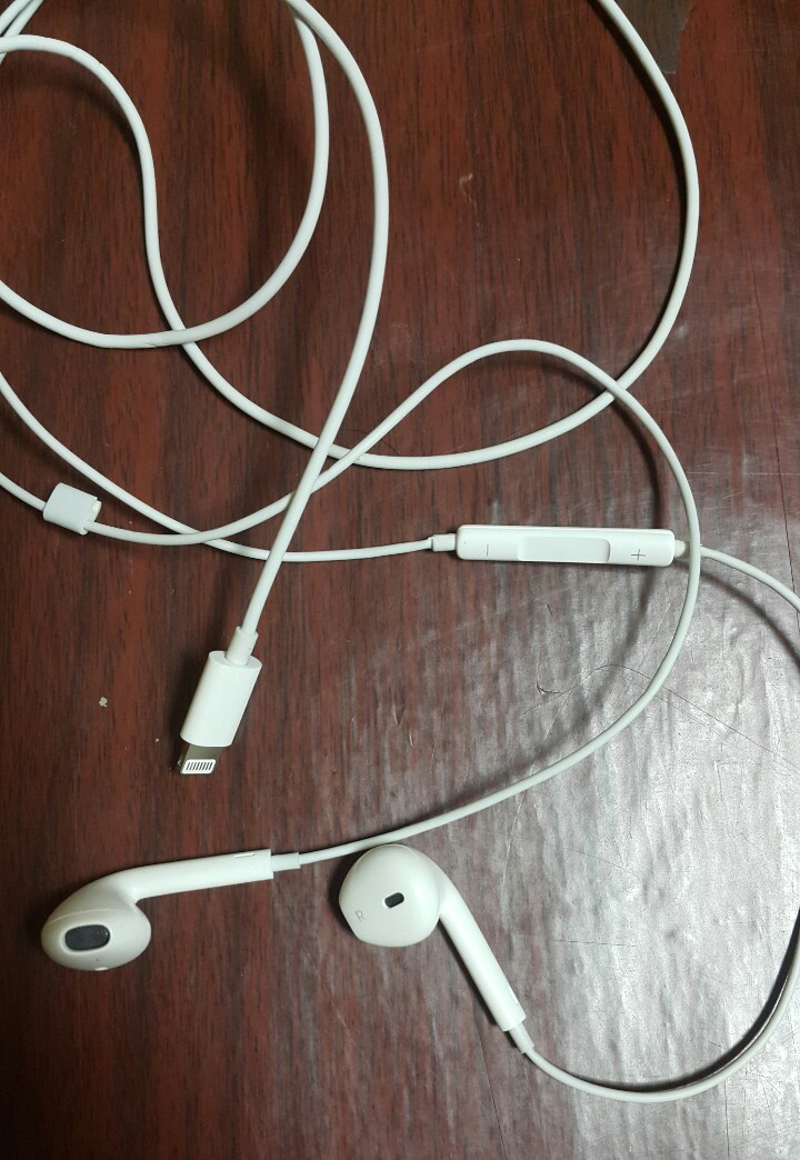이어폰이 물에 빠졌을때,, 세탁기에서 세탁되었을 때.. 베트남 하노이 Apple 이어팟 라이트닝 커넥터 이어폰이 물에 빠졌을때,, 세탁기에서 세탁되었을 때.. 베트남 하노이 Apple 이어팟 라이트닝 커넥터