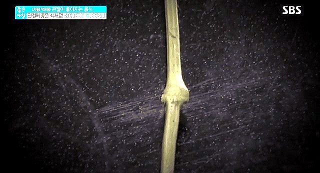쇠무릎효능 무릎 관절 연골재생 우술뿌리 우슬차 닭발 먹는법 : 네이버 블로그
