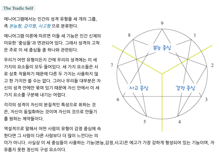 애니어그램 테스트 7번 8번 유형