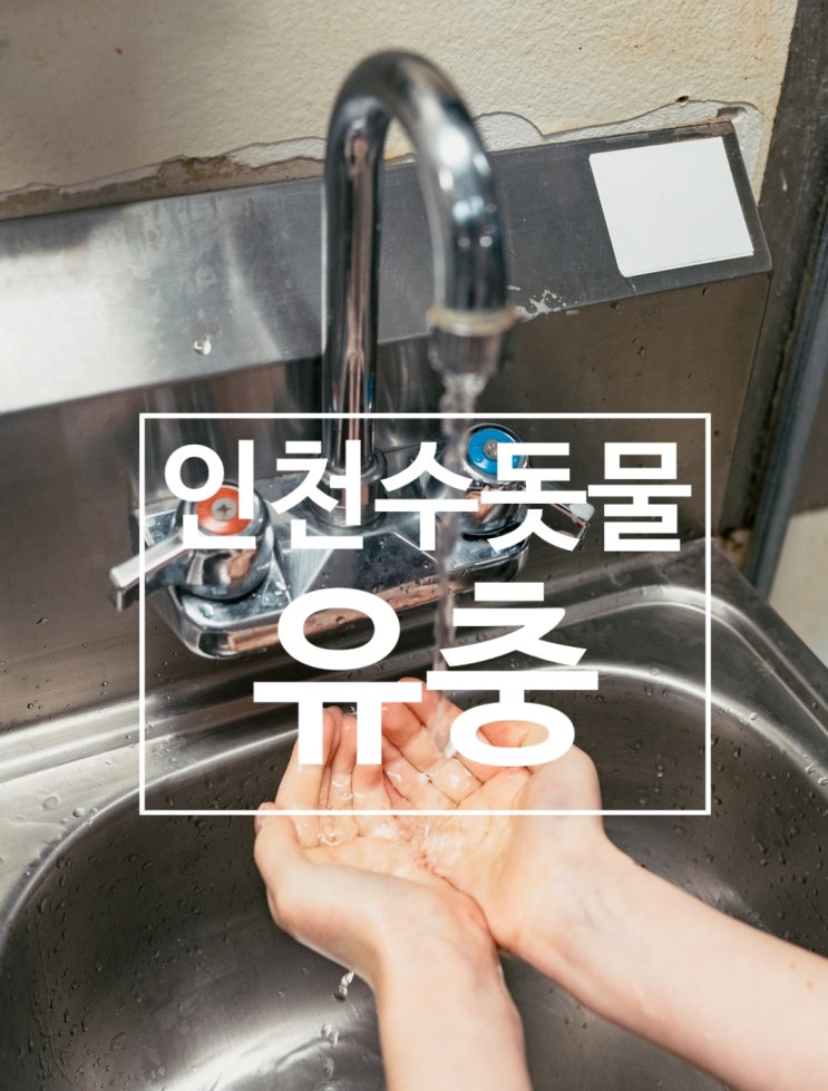  인천 수돗물 유충 확인 방법