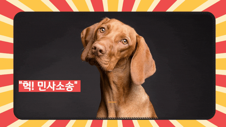  헉! 내 강아지가 물렸을 때(물림 사고) 민사소송 7가지 준비 방법?