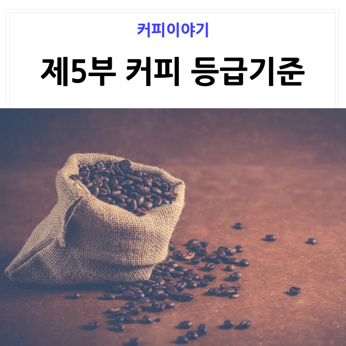  [커피공부] 제5부 커피의 등급과 기준