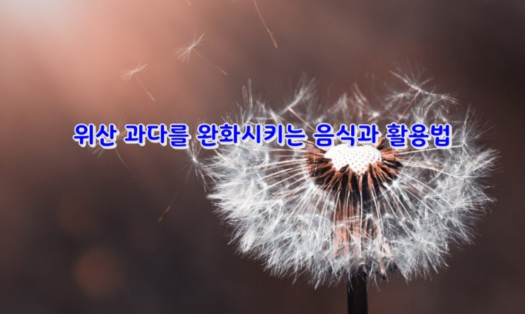 위산 과다를 완화시키는 음식과 활용법 위산 과다를 완화시키는 음식과 활용법