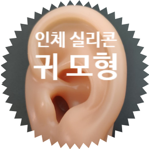  유튜브 음향 IT 리뷰 준비중. 필요 장비 구매 기록 중: 특수 소품 실리콘 귀 모형, 이도 인체, 시뮬레이터 인체, 시뮬레이션 모델 귀 디스플레이 교육 소품