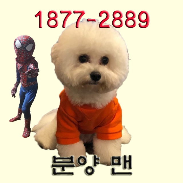 가야 비스타동원 개발호재가 많은 곳 가야 비스타동원 개발호재가 많은 곳