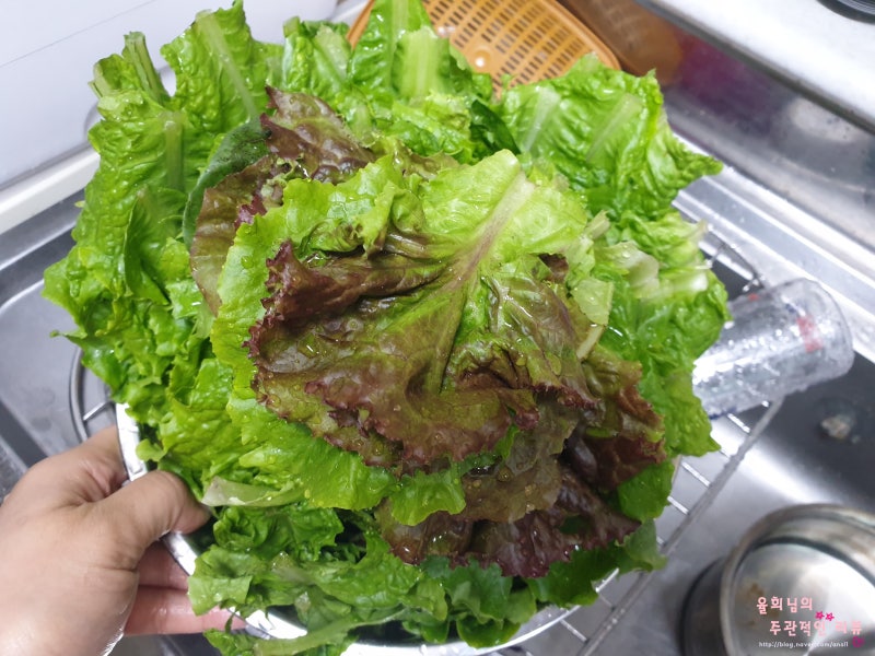 6평 주말농장 가격 / 시작시기 / 모종가격 알아봤어요! : 네이버 블로그 6평 주말농장 가격 / 시작시기 / 모종가격 알아봤어요! : 네이버 블로그