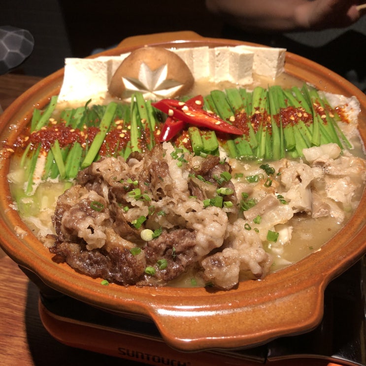  [강남/신사] 모츠나베 맛집 오호리준 솔직 후기