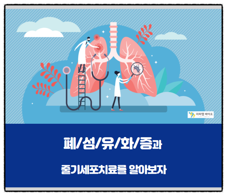  폐섬유화증과 줄기세포치료를 알아보자