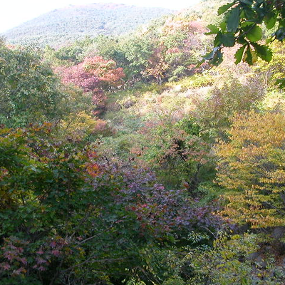 뜨락펜션 사진 1