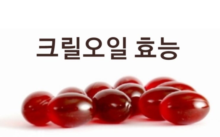  크릴오일 효능 / 부작용