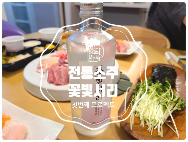  꽃빛서리 전통소주 GS편의점에서 발견한 맛있는 술 솔직후기