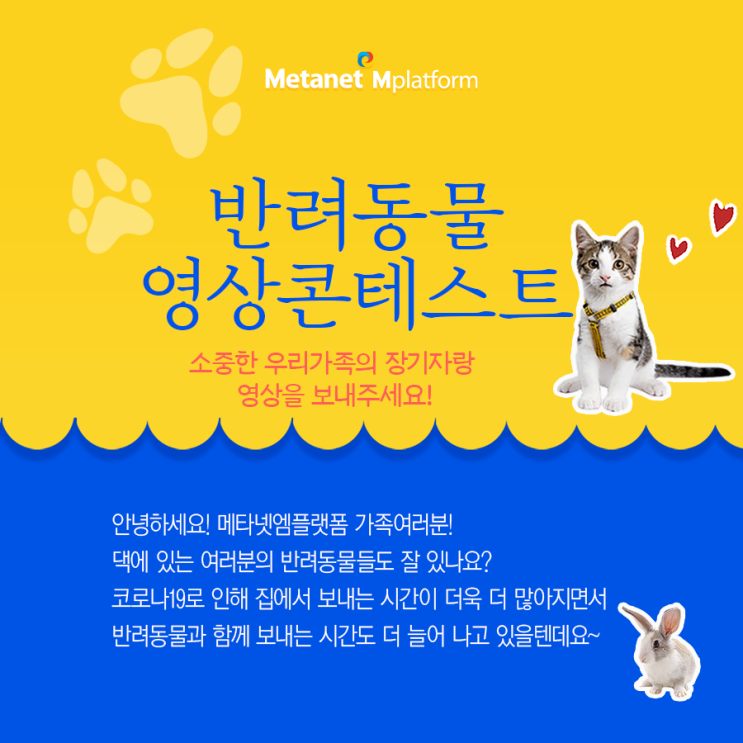  메타넷엠플랫폼, 반려동물 영상콘테스트(feat.소중한 우리가족의 장기자랑 영상을 보내주세요!)