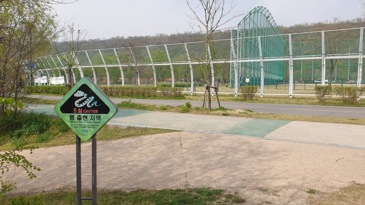  심장 두근거림 부정맥 심장빨리뛸때