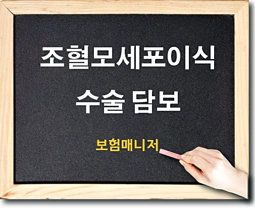  현대해상 태아보험 조혈모세포이식수술