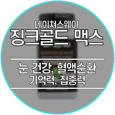  징코빌로바 은행잎추출물 - 눈, 혈액순환, 기억력, 집중력